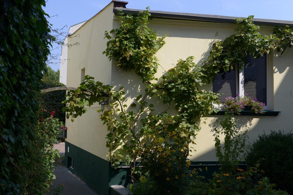 Hotel-Pension Mandy - Adults Only Senftenberg Esterno foto